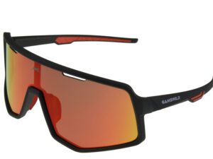 Gafas de sol deportivas WS4042 Gamswild TR90 "Modelo Top 2026"